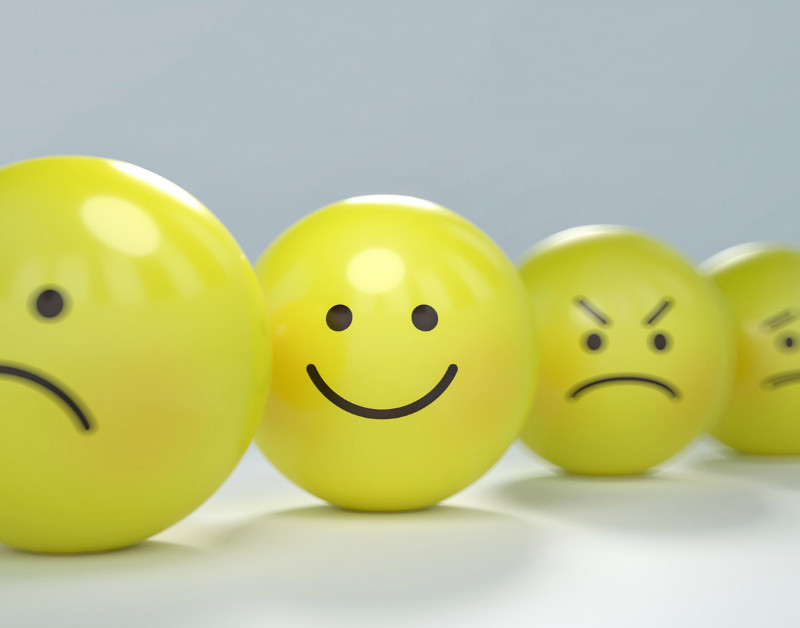 Emotional Intelligence